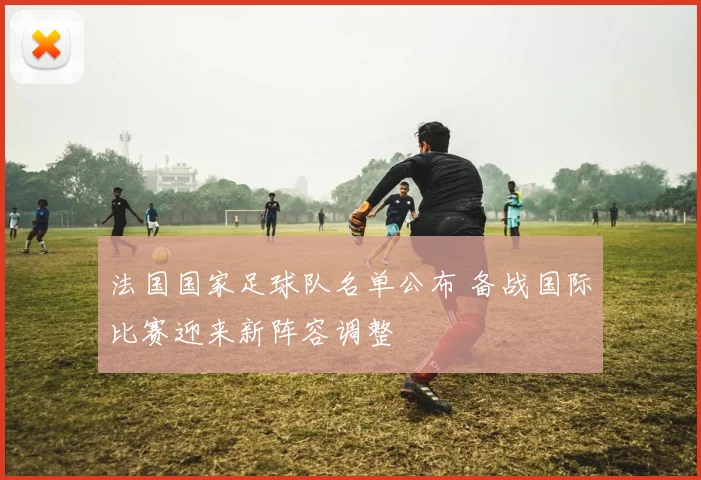 法国国家足球队名单公布 备战国际比赛迎来新阵容调整